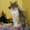 Отзыв от Ида Анохина
